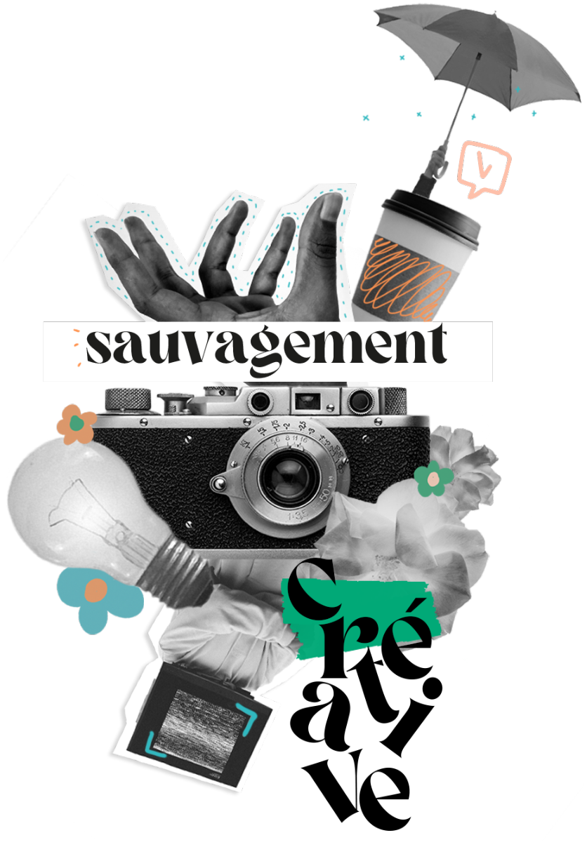 image sauvagement